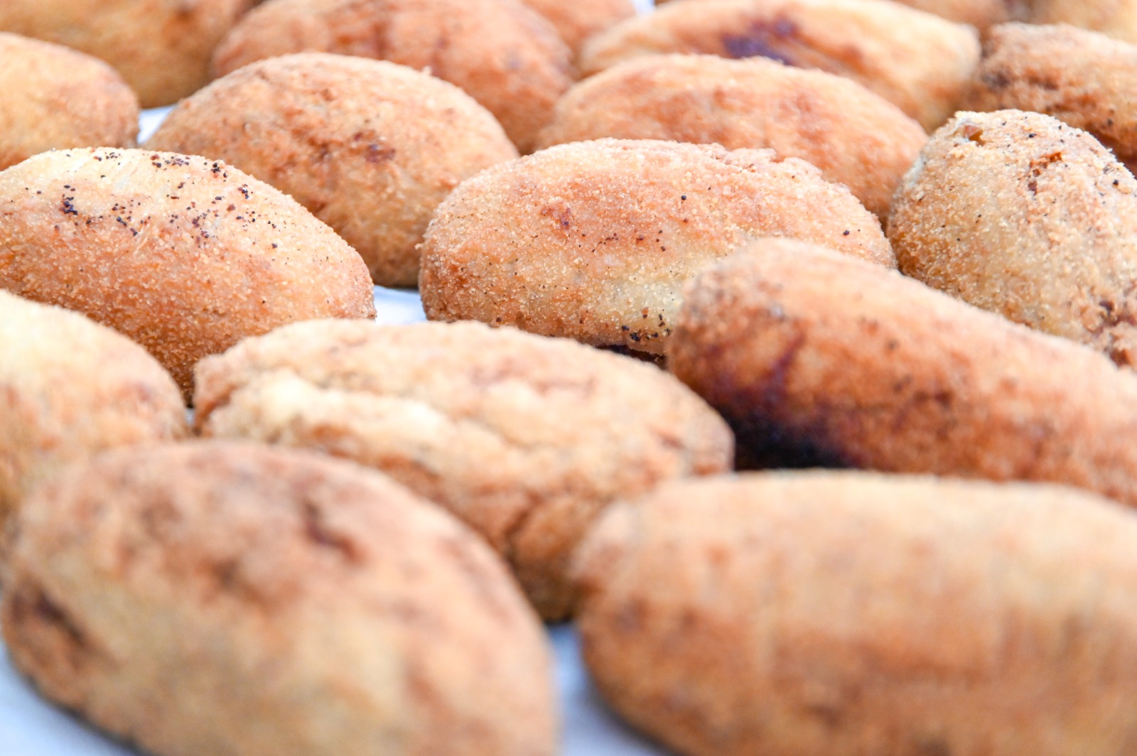 WhatsApp Image 2026-02-26 at 11.46.48