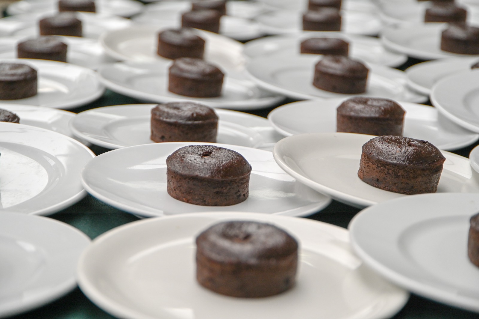 WhatsApp Image 2026-02-26 at 11.46.59